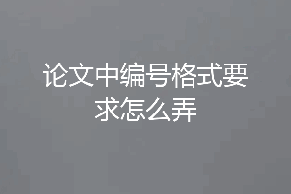 论文中编号格式要求怎么弄
