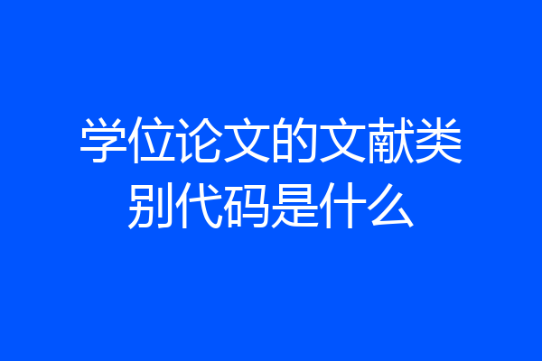 学位论文的文献类别代码是什么