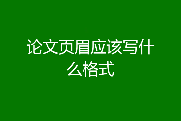 论文页眉应该写什么格式