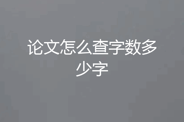 论文怎么查字数多少字