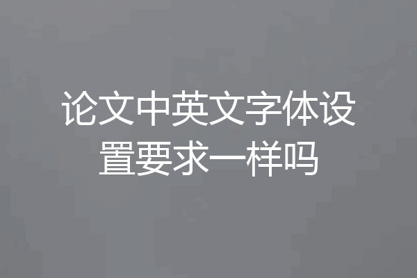 论文中英文字体设置要求一样吗
