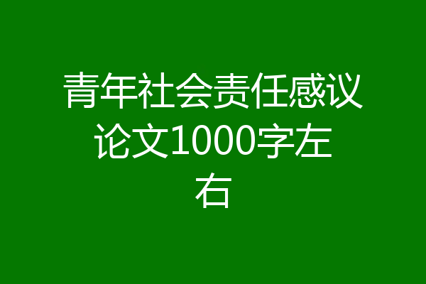 青年社会责任感议论文1000字左右