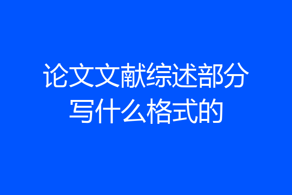 论文文献综述部分写什么格式的