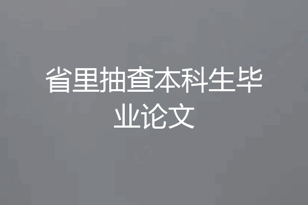省里抽查本科生毕业论文