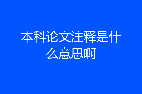 本科论文注释是什么意思啊
