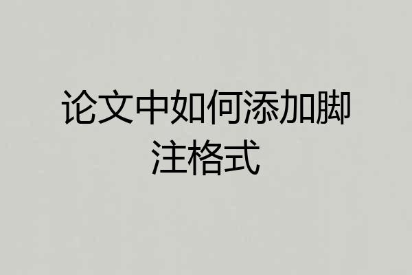 论文中如何添加脚注格式