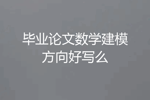 毕业论文数学建模方向好写么