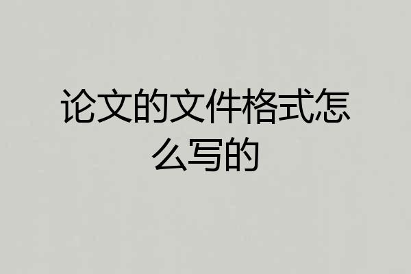 论文的文件格式怎么写的
