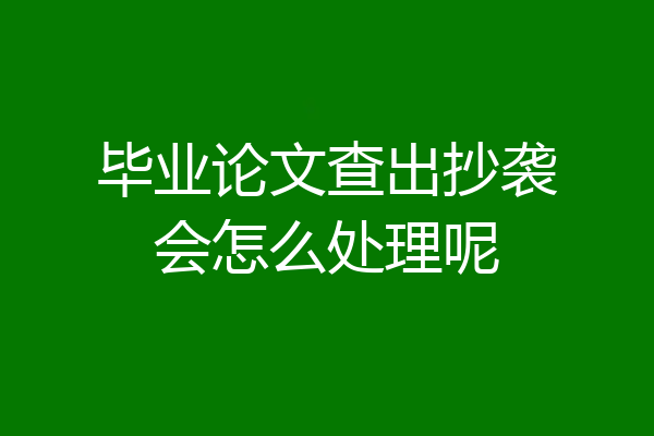 毕业论文查出抄袭会怎么处理呢