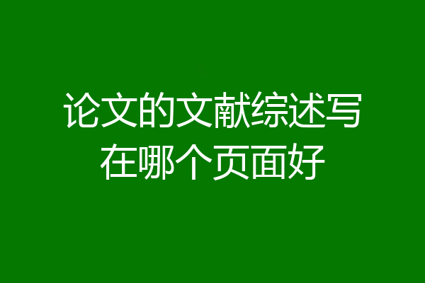 论文的文献综述写在哪个页面好