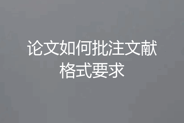 论文如何批注文献格式要求