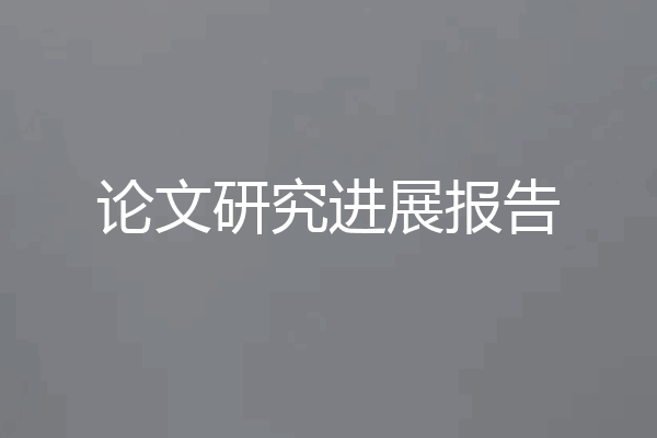 论文研究进展报告