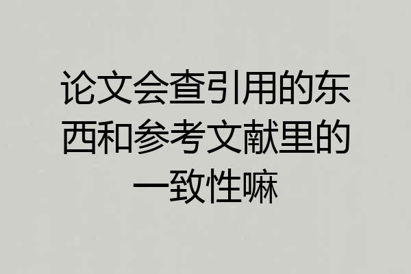 论文会查引用的东西和参考文献里的一致性嘛