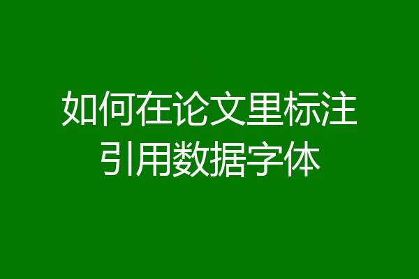 如何在论文里标注引用数据字体