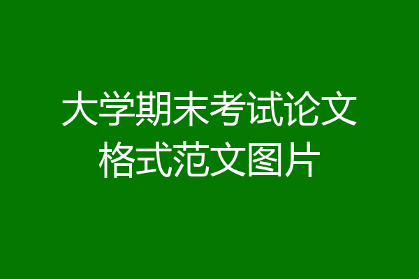 大学期末考试论文格式范文图片