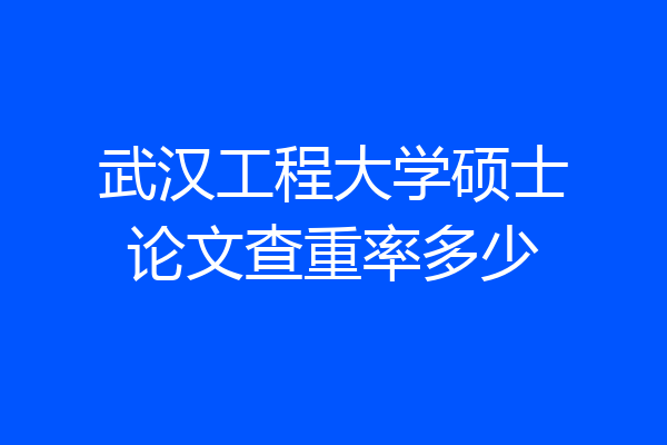 武汉工程大学硕士论文查重率多少