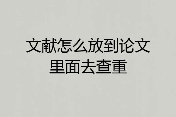 文献怎么放到论文里面去查重