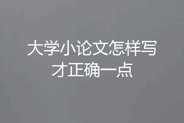 大学小论文怎样写才正确一点