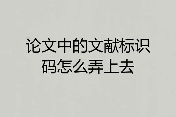 论文中的文献标识码怎么弄上去