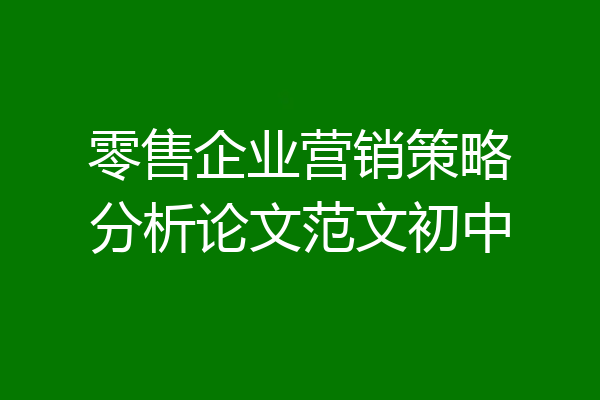 零售企业营销策略分析论文范文初中