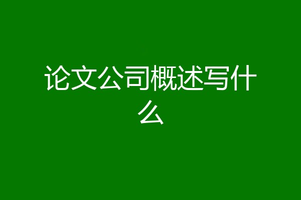 论文公司概述写什么