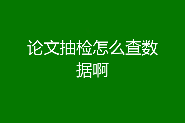 论文抽检怎么查数据啊