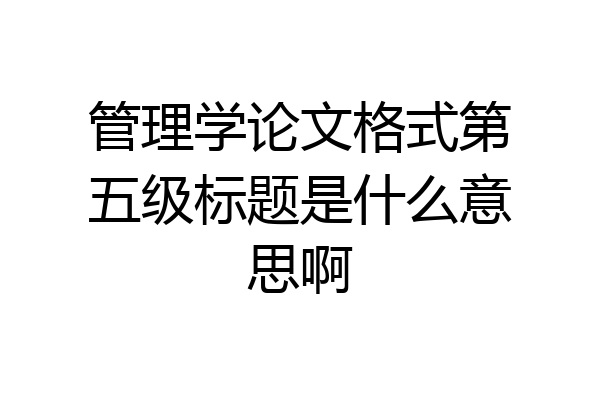 管理学论文格式第五级标题是什么意思啊