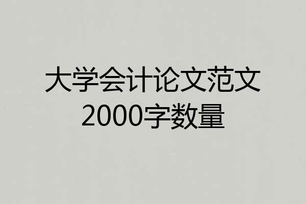 大学会计论文范文2000字数量