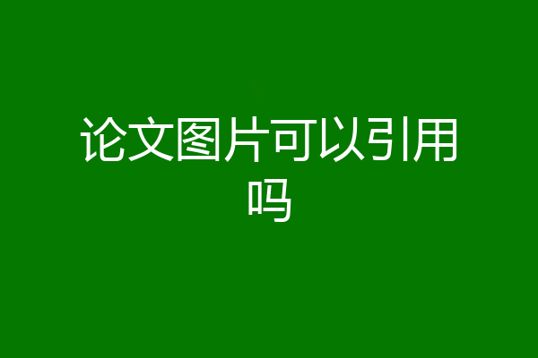 论文图片可以引用吗