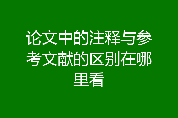论文中的注释与参考文献的区别在哪里看