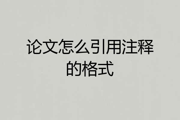 论文怎么引用注释的格式