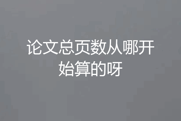 论文总页数从哪开始算的呀