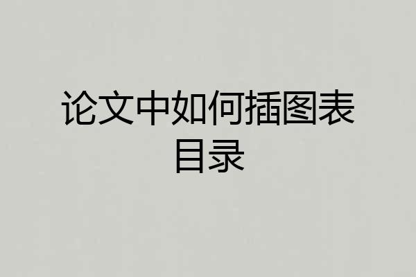 论文中如何插图表目录