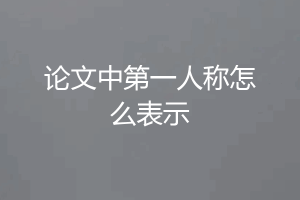 论文中第一人称怎么表示