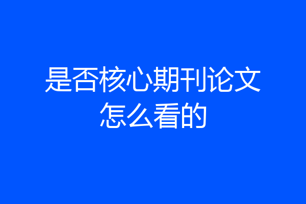 是否核心期刊论文怎么看的
