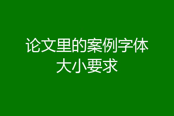 论文里的案例字体大小要求