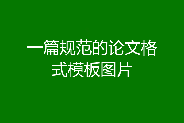 一篇规范的论文格式模板图片
