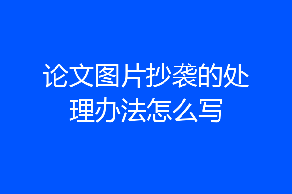 论文图片抄袭的处理办法怎么写