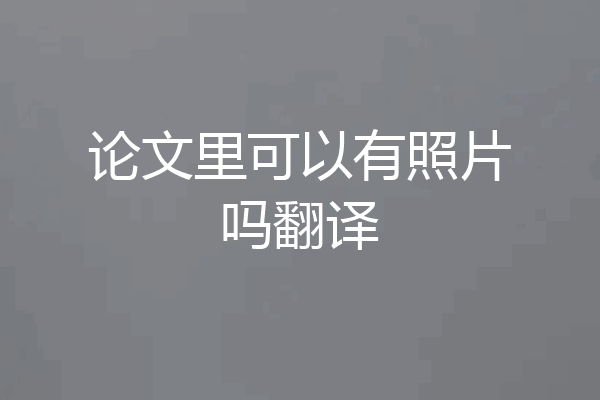 论文里可以有照片吗翻译