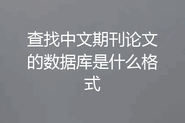 查找中文期刊论文的数据库是什么格式
