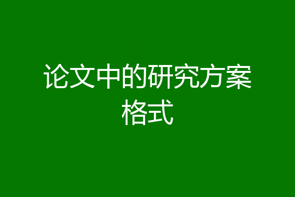 论文中的研究方案格式