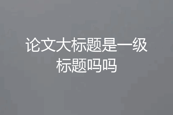 论文大标题是一级标题吗吗