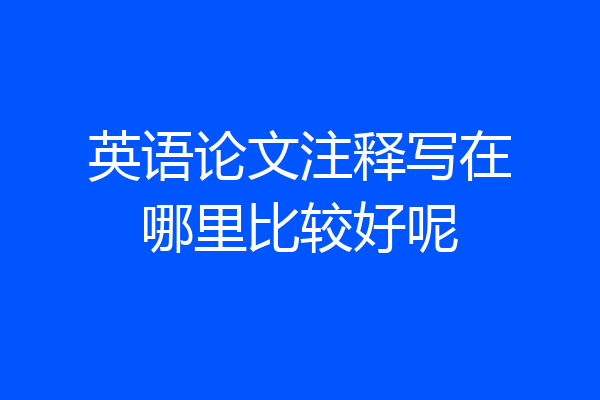 英语论文注释写在哪里比较好呢
