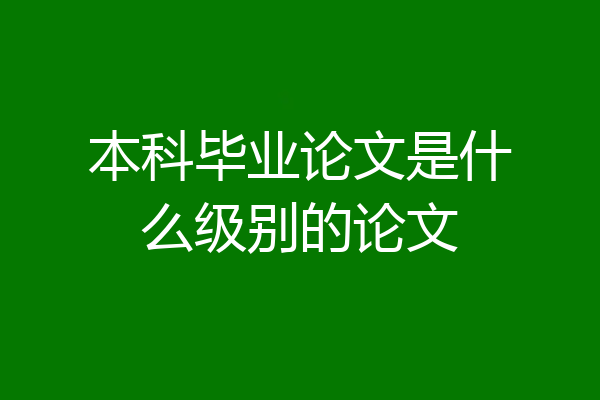 本科毕业论文是什么级别的论文