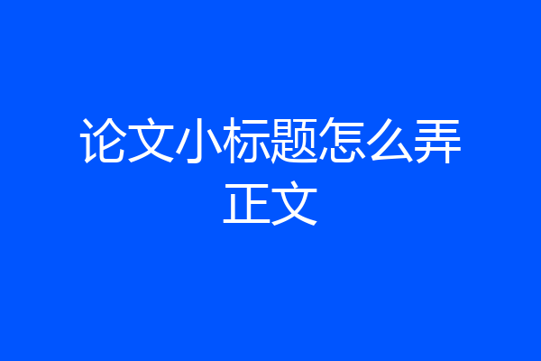 论文小标题怎么弄正文