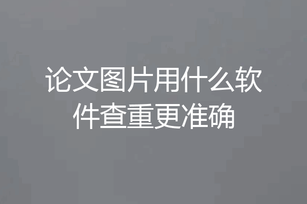 论文图片用什么软件查重更准确