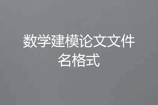 数学建模论文文件名格式