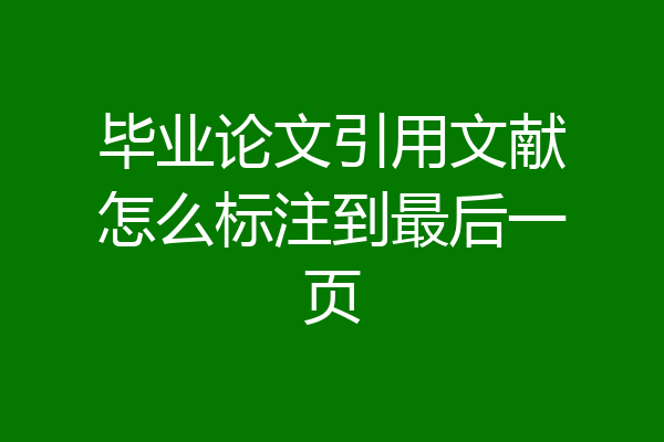 毕业论文引用文献怎么标注到最后一页