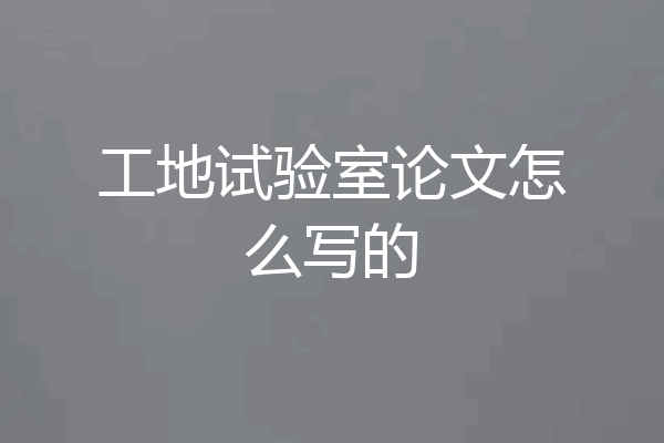 工地试验室论文怎么写的
