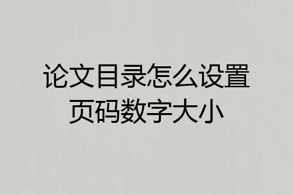 论文目录怎么设置页码数字大小